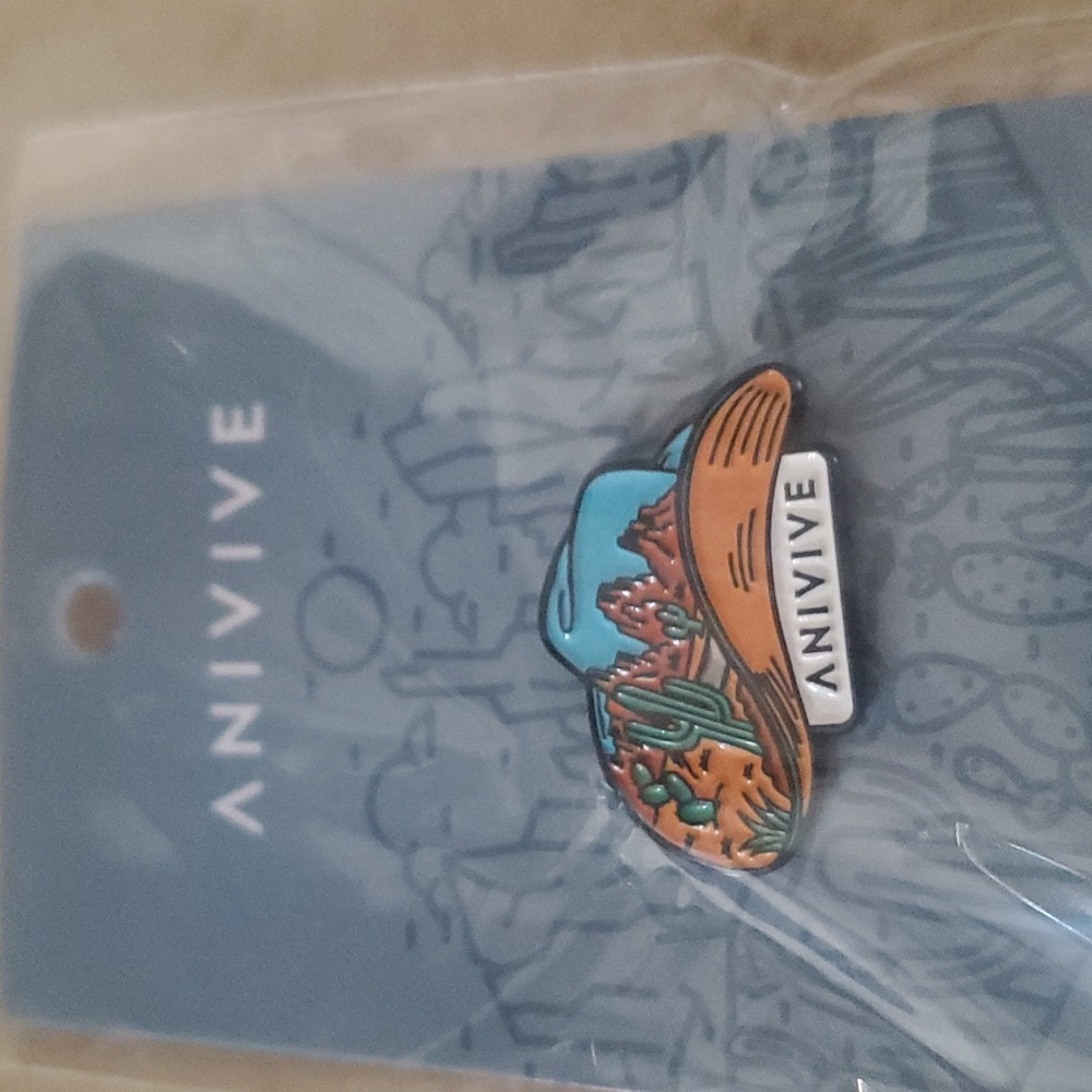 Cowgirl Desert Pin/Hat Pin